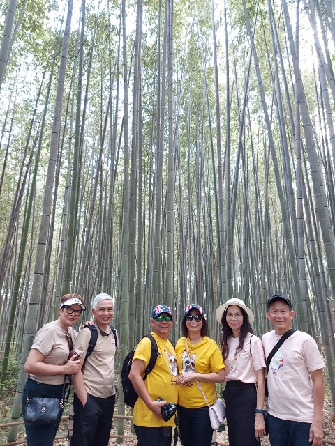 Kyoto: Hotel Kyoto Ekimae & Arashiyama Bamboo Grove