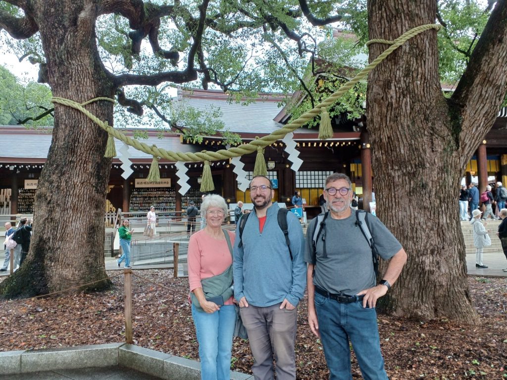 Tokyo Customized Private Tour in 1 Day