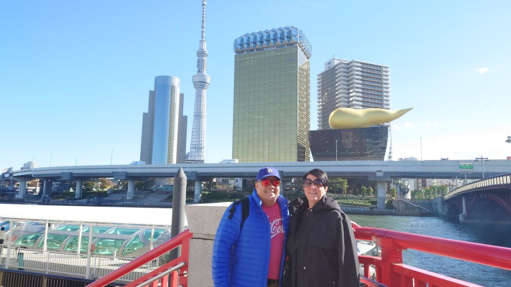 Tokyo Customized Private Tour in 1 Day