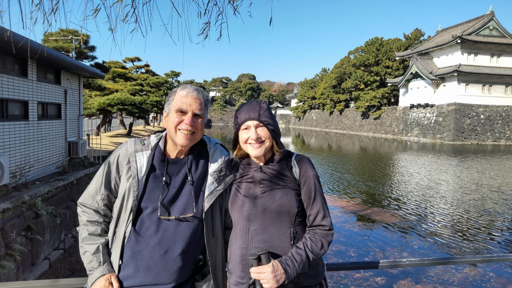 Tokyo Customized Private Tour in 1 Day