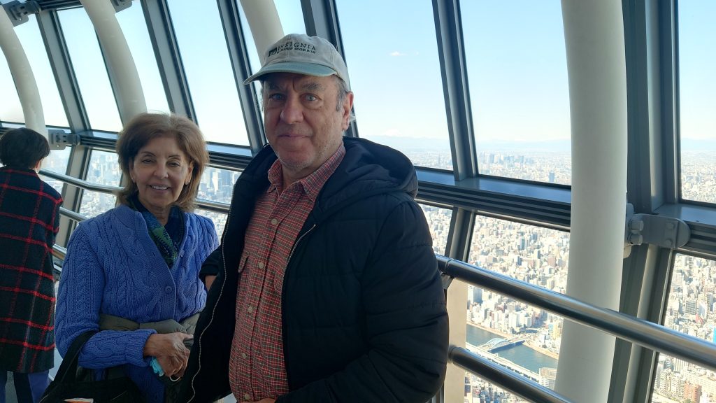 Tokyo Customized Private Tour in 1 Day