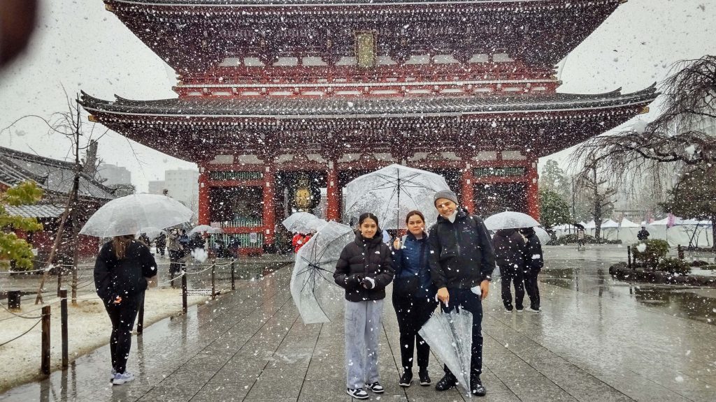 Tokyo Customized Private Tour in 1 Day