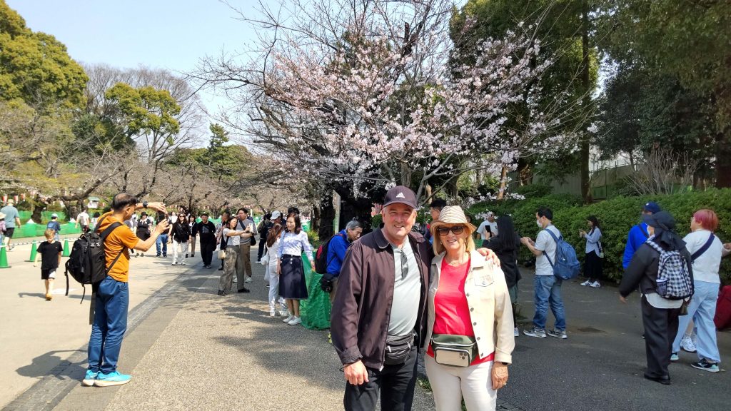 Tokyo Customized Private Tour in 1 Day