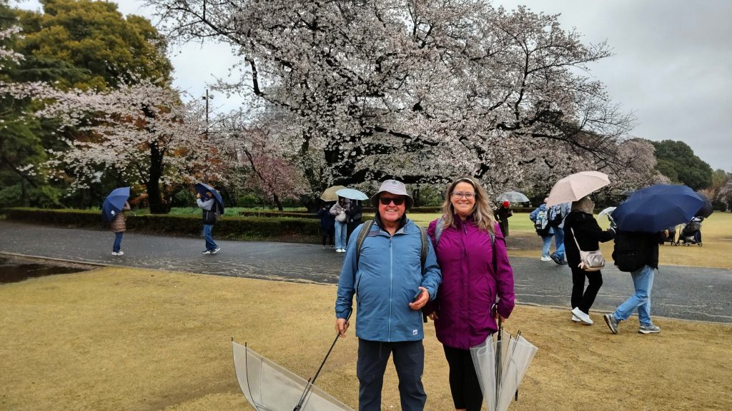 Tokyo Customized Half-Day Tour