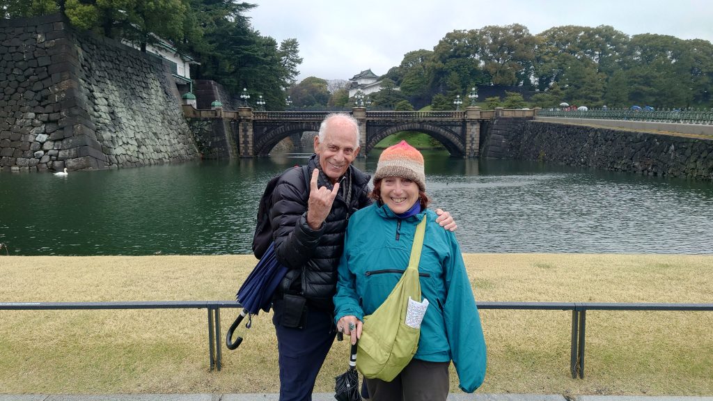 Tokyo Customized Private Tour in 1 Day