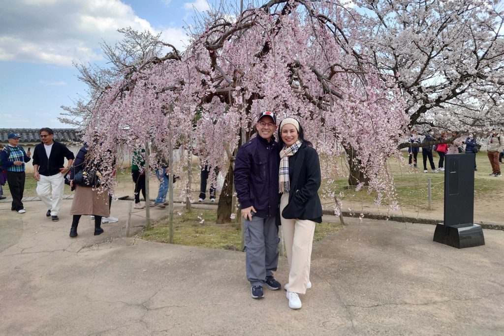 Hyogo in Half a Day: @ Himeji Castle & @ Himeji Sosha Shrine