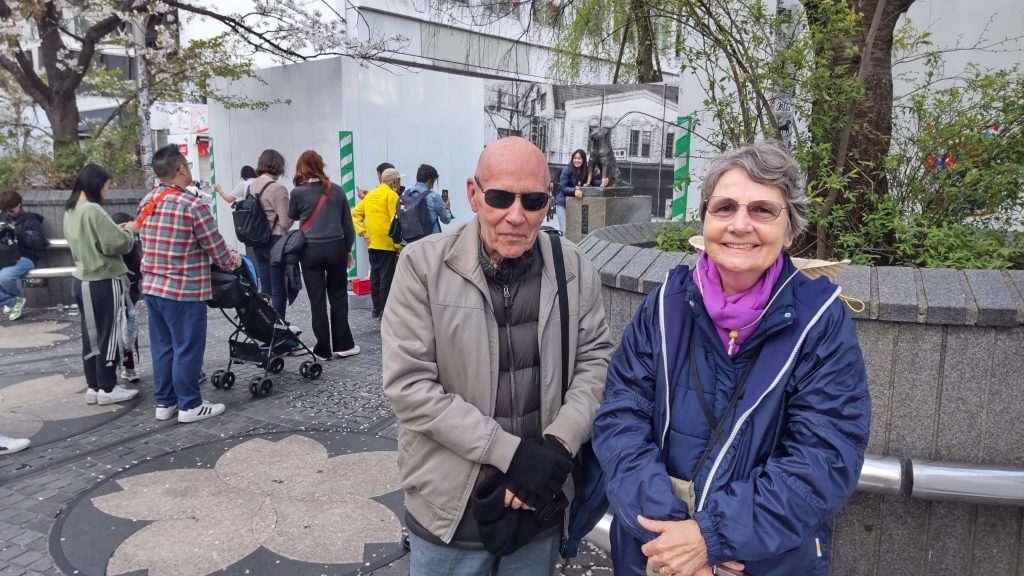 Tokyo Customized Private Tour in 1 Day