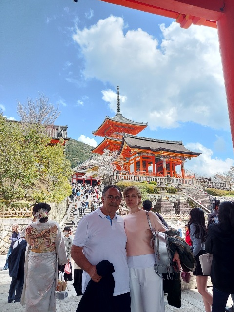 Kyoto in One Day: Kyoto Station & Arashiyama Bamboo Grove Path