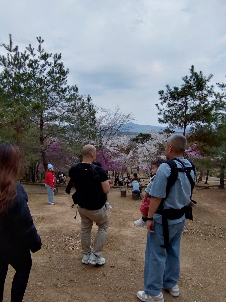 Kyoto: Fushimi Inari & Kinkakuji Temple