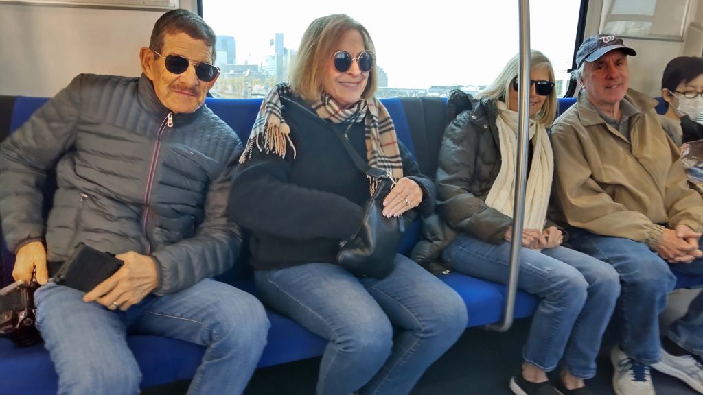 Tokyo Customized Private Tour in 1 Day