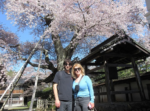 Wakayama in Half a Day: Danjo Garan & Okunoin
