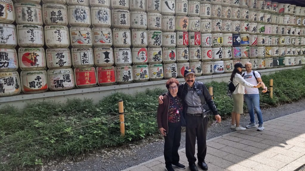 Tokyo Customized Private Tour by Car