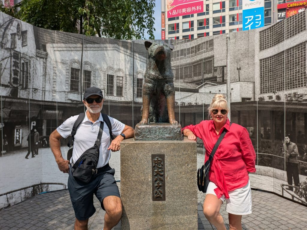 Tokyo Customized Private Tour in 1 Day