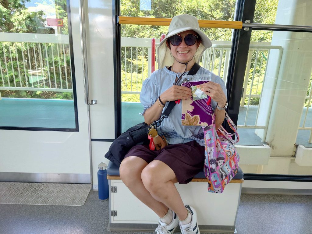 Hyogo in One Day: at Himeji Castle & at Nadagiku Sake Brewery