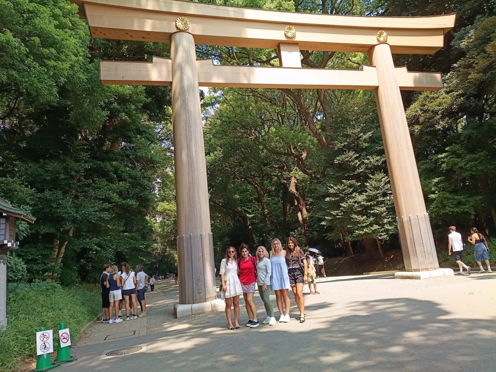 Tokyo Customized Private Tour in 1 Day
