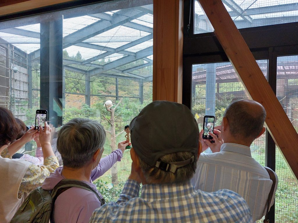 Sado Island in 1 Day by Private Car
