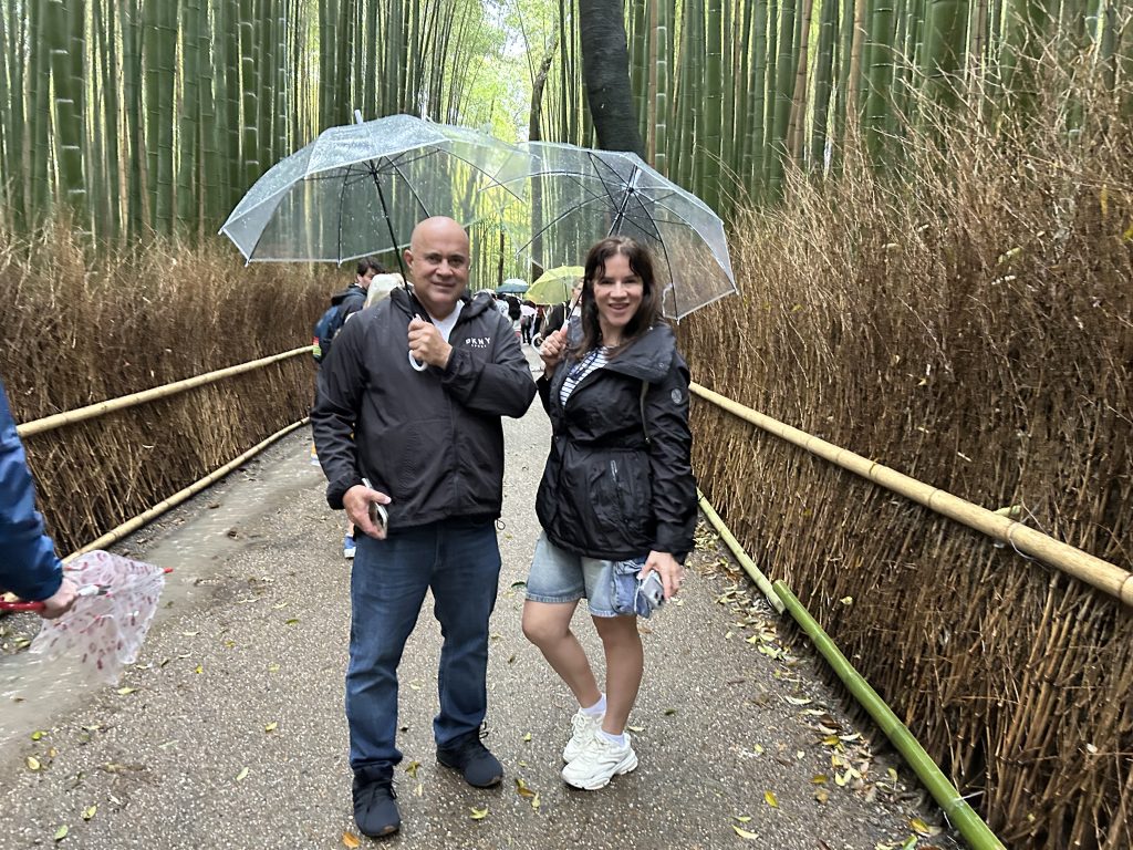 Kyoto: Otagi Nenbutsu-ji Temple & Randen Arashiyama