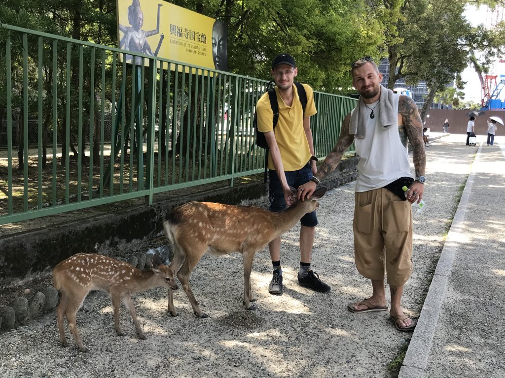Nara Day Trip from Kyoto: Customized Tour