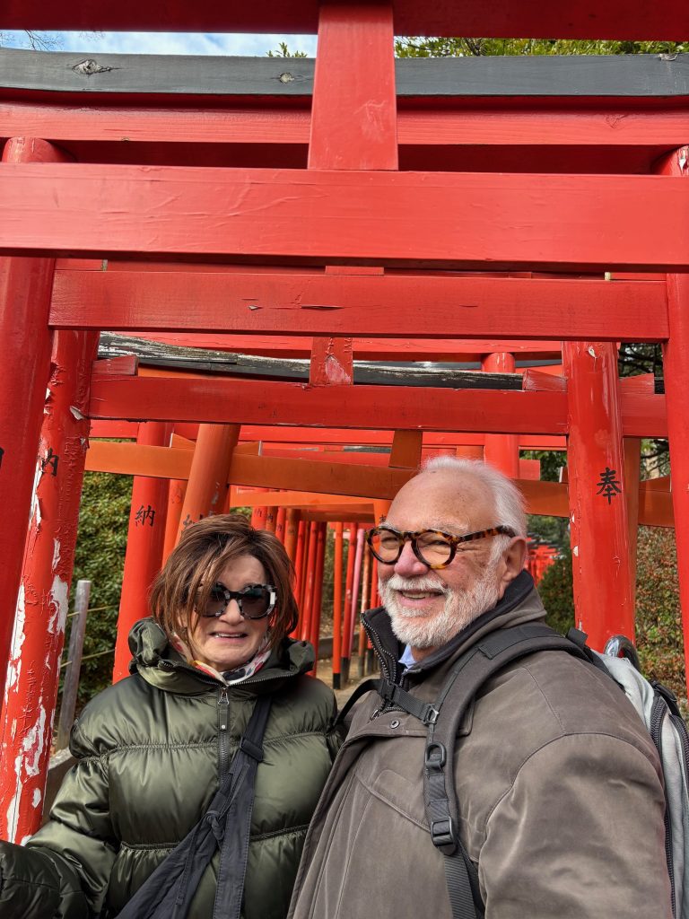 Tokyo Customized Private Tour in 1 Day