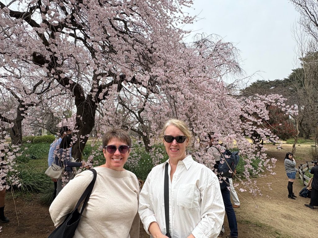 Tokyo Customized Private Tour in 1 Day