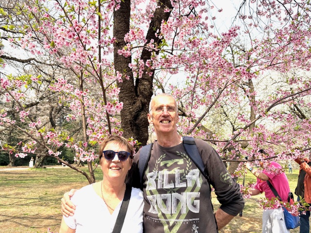Tokyo in One Day: Shinjuku Gyoen & Meiji Shrine