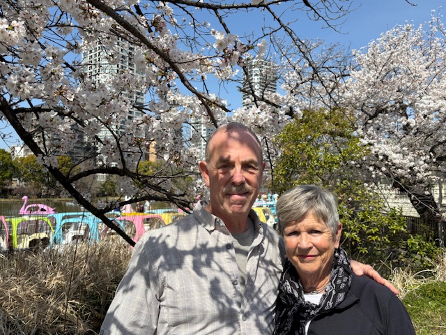 Tokyo Customized Private Tour in 1 Day