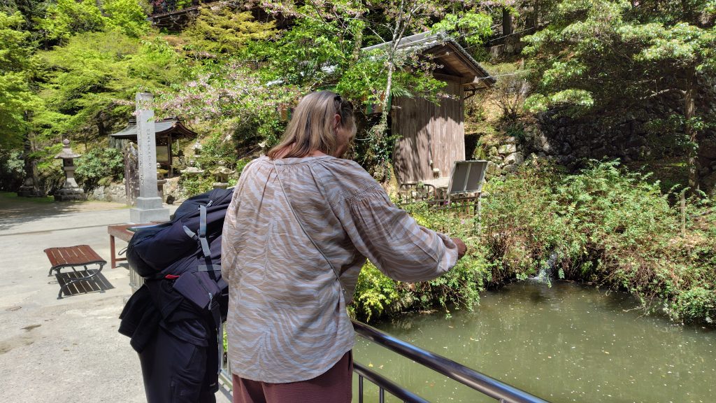 Hyogo in One Day: Maniden by microbus & Kokoen Garden by bus