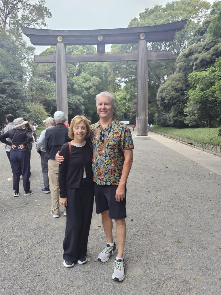 Tokyo in One Day: Meiji Shrine & Shinjuku Gyoen
