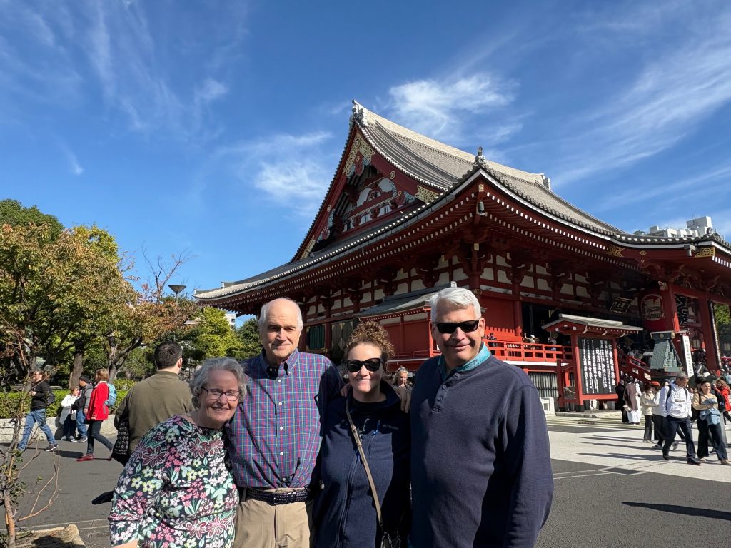 Tokyo: Meiji Shrine & Odaiba Drive