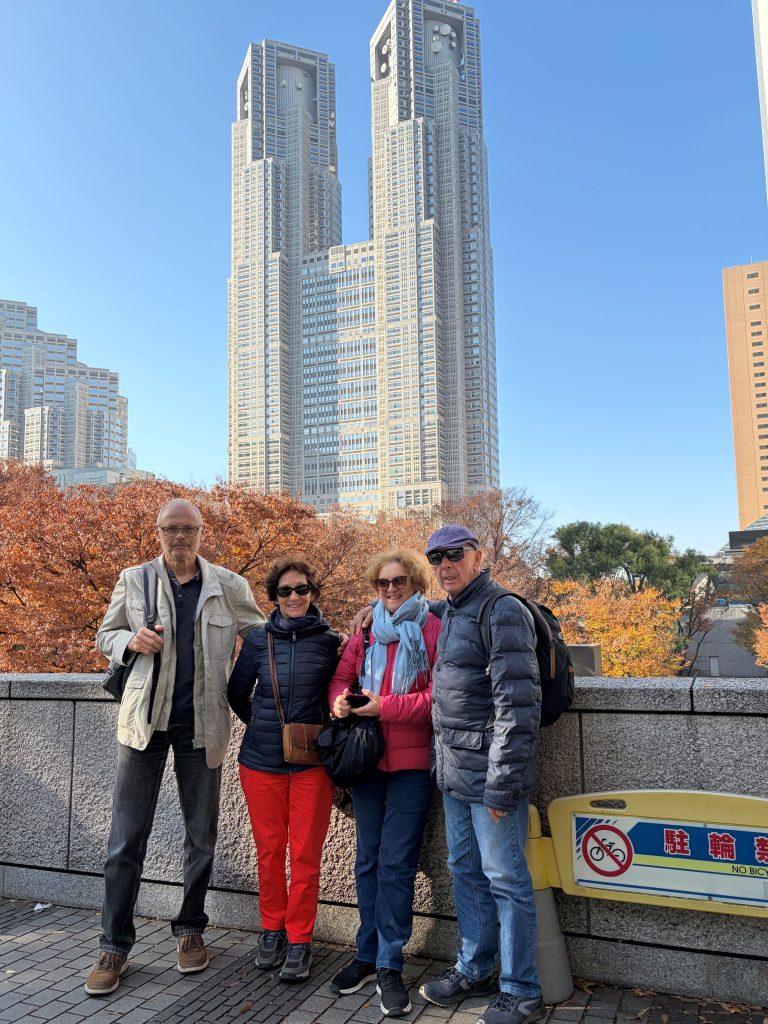 Tokyo Customized Private Tour with French-Speaking Guide
