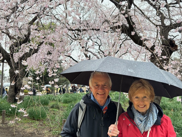 Tokyo in One Day: Meiji Shrine & Shinjuku Gyoen