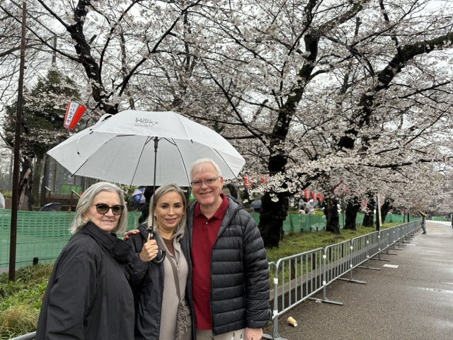 Tokyo in One Day: Ueno Park & Meiji Shrine