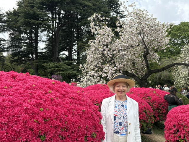 Tokyo in Half a Day: Shinjuku Gyoen