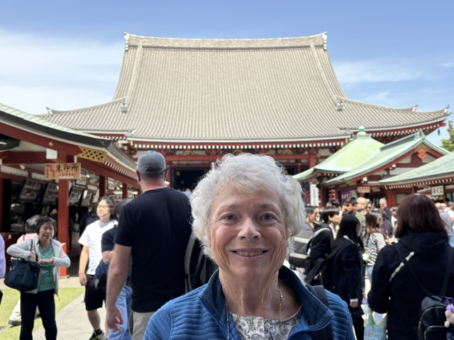 Tokyo Customized Private Tour in 1 Day