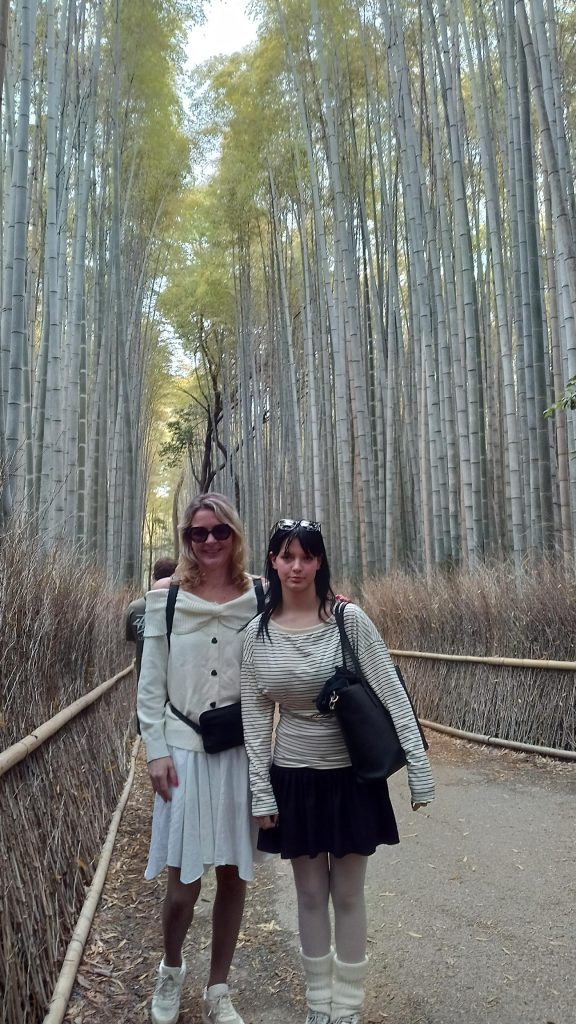 Kyoto in 1 Day from Osaka: Private Car Tour