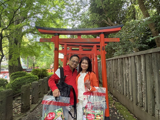 Tokyo in One Day: Nezu Shrine & Imperial Palace East Gardens