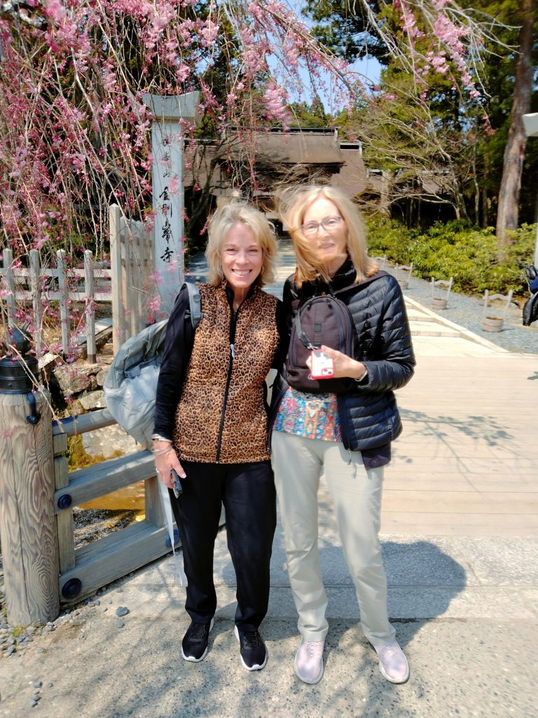 Osaka in One Day: Travel to Koyasan & Travel to Shin-Imamiya