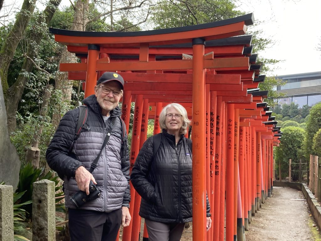 Tokyo Customized Private Tour in 1 Day