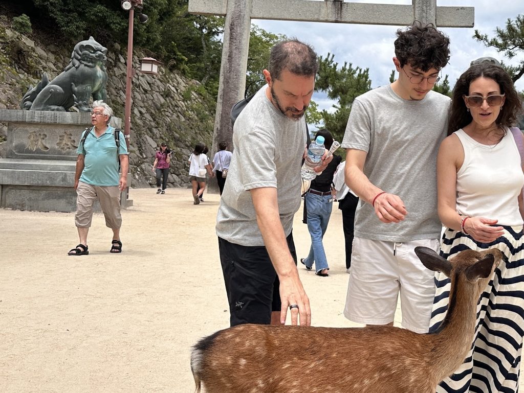 Hiroshima & Miyajima in 1 Day: Private Tour