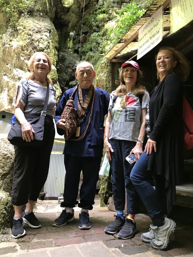 Arashiyama Bamboo Forest & Sagano Tour