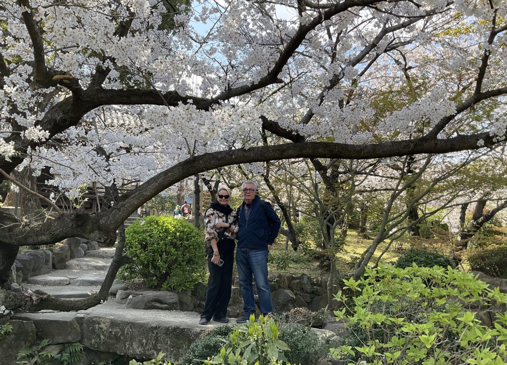 Osaka Customized Half-Day Tour