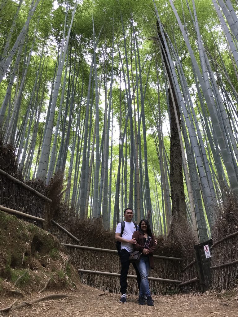 Kyoto in 1 Day from Osaka: Customized Tour