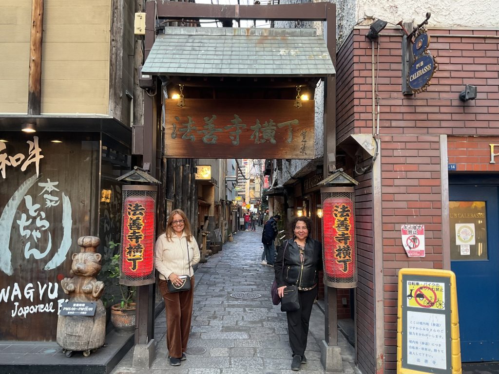 Osaka in One Day: @Osaka Castle & @Sumiyoshi Taisha Shrine