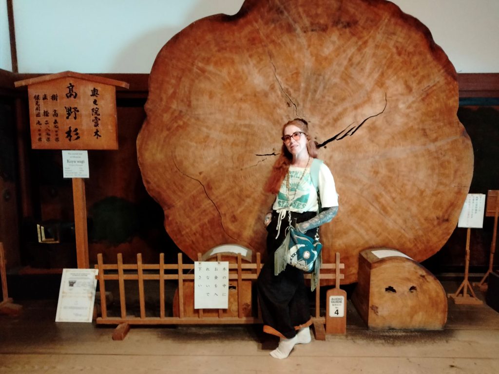 Osaka in One Day: Canopy Hilton & Move back to Namba