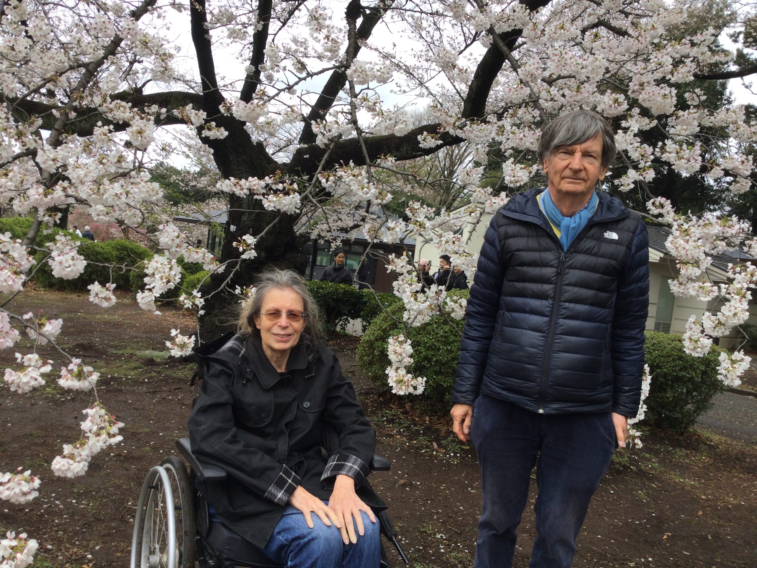 Tokyo Customized Private Tour in 1 Day
