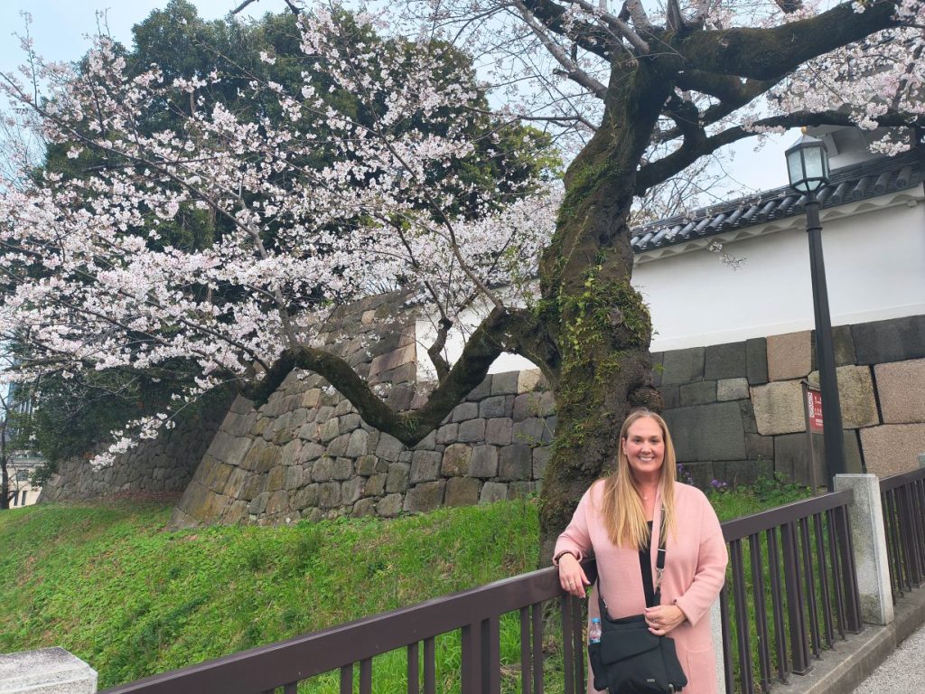 Tokyo Customized Private Tour in 1 Day