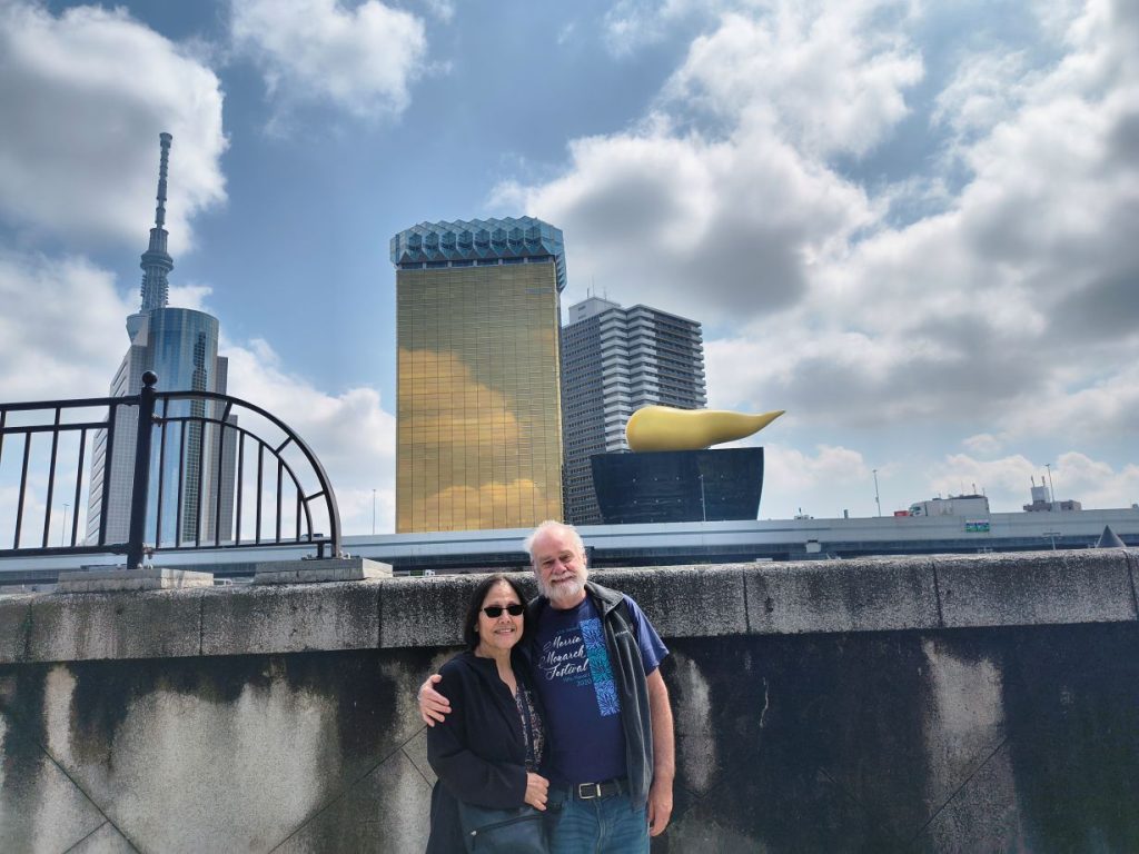 Tokyo Customized Private Tour by Car