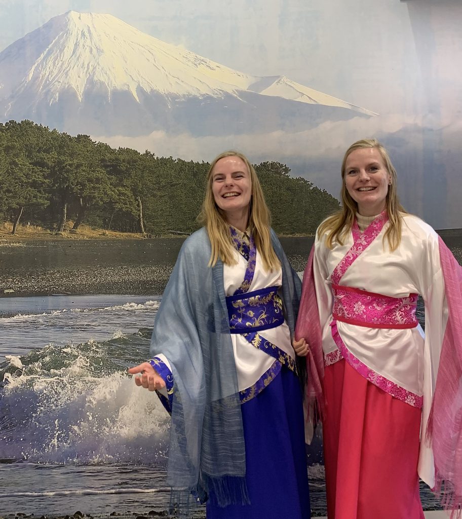 Mt. Fuji View Shimizu Customized Tour