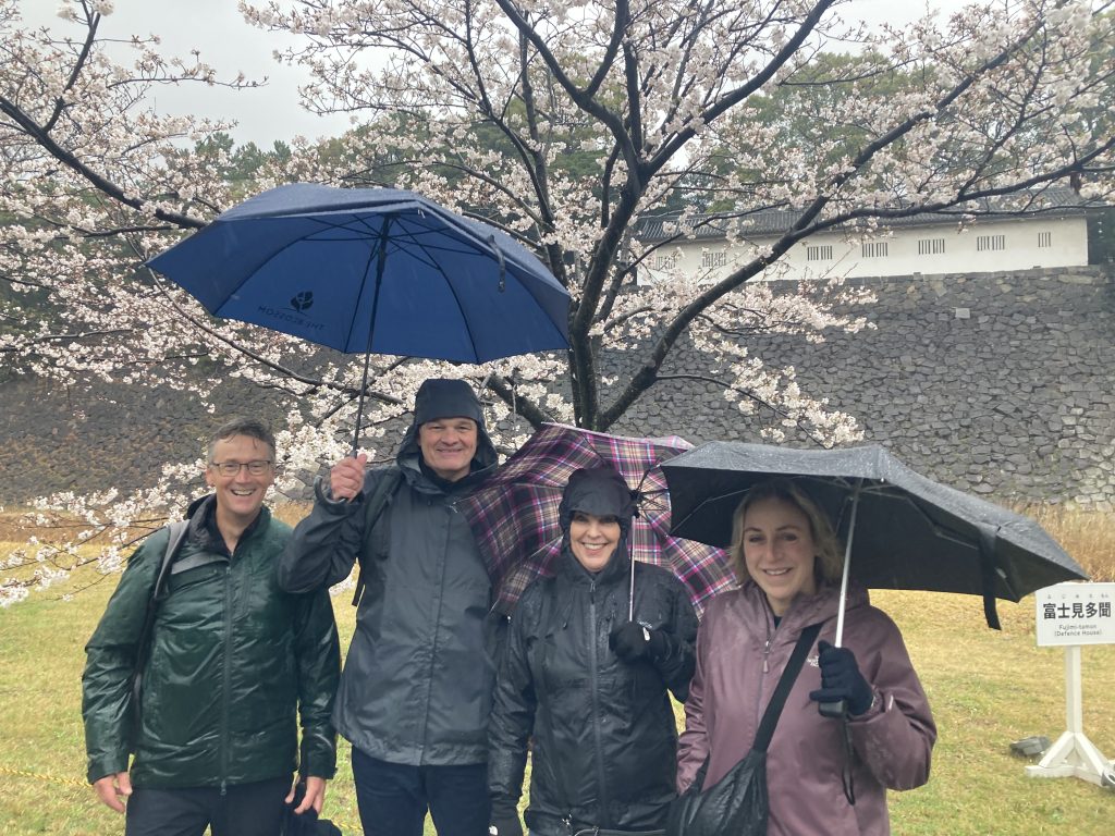 Tokyo Customized Private Tour in 1 Day
