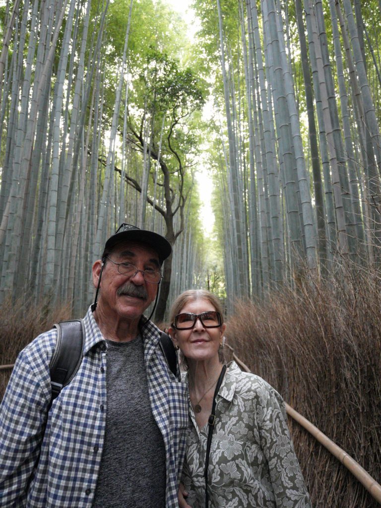 Kyoto: Hotel Celestine Kyoto Gion & Bamboo forest by taxi